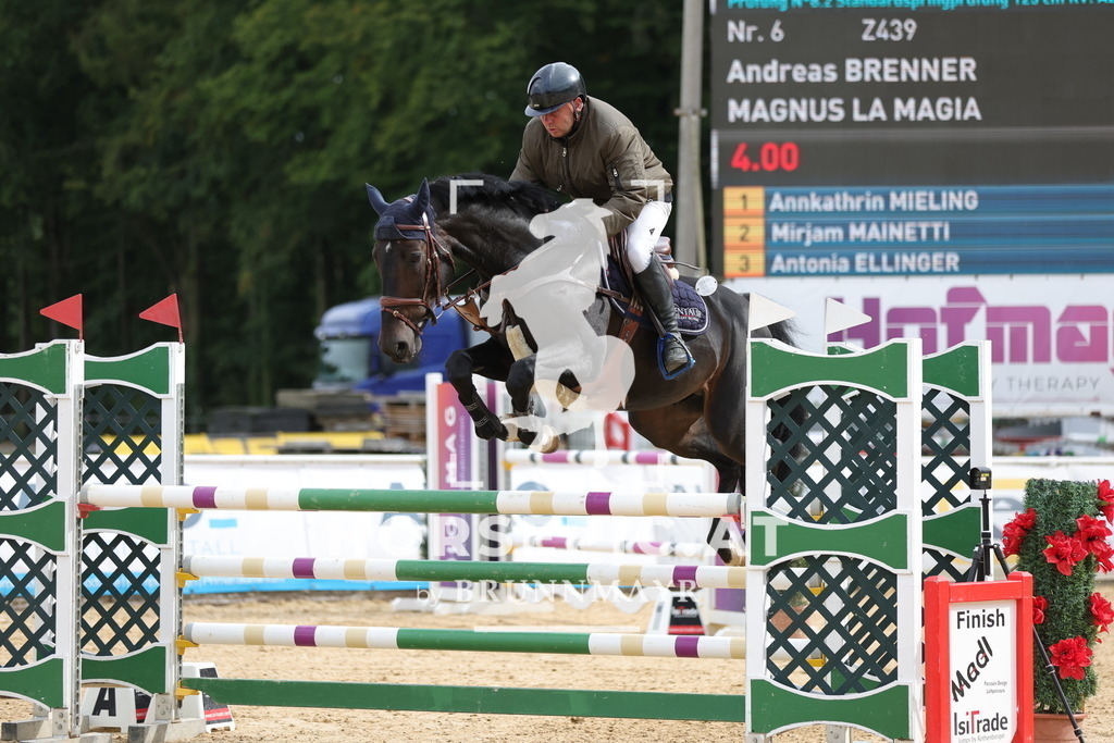 0P6A8622 | Willkommen bei Brunnmayr - Design & Fotografie – Ihrem Spezialisten für Reitturniere und Pferdeveranstaltungen in Oberösterreich, Salzburg und Bayern! Seit über 17 Jahren sind wir leidenschaftlich dabei.