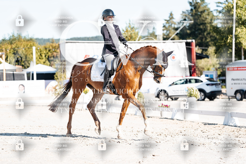 CK907230 | Turnierfotografie Pferdefotografie Trier Rheinland-Pfalz Pferdesport Reitsport Tierfotografie Sportfotografie Pferdevideo Pferdevideografie Equestrianvideography equestrianphotography  - Realisiert mit Pictrs.com
