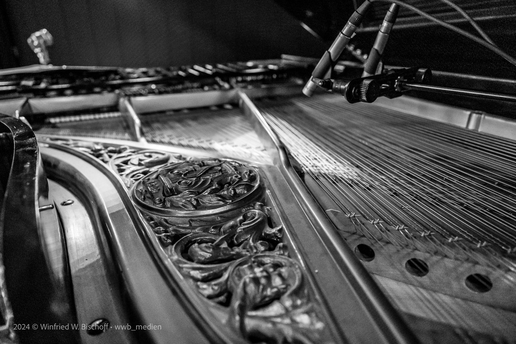 DSC_5719 | <Fotografie> <Video> <Film> <Winfried Bischoff> - Realisiert mit Pictrs.com