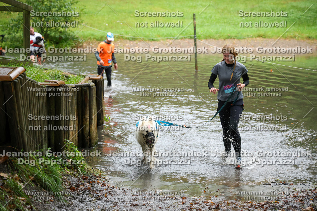 Dog Paparazzi -  SD1026-8188 | Dog Paparazzi Jeanette Grottendiek Fotografie & Videografie - Realisiert mit Pictrs.com