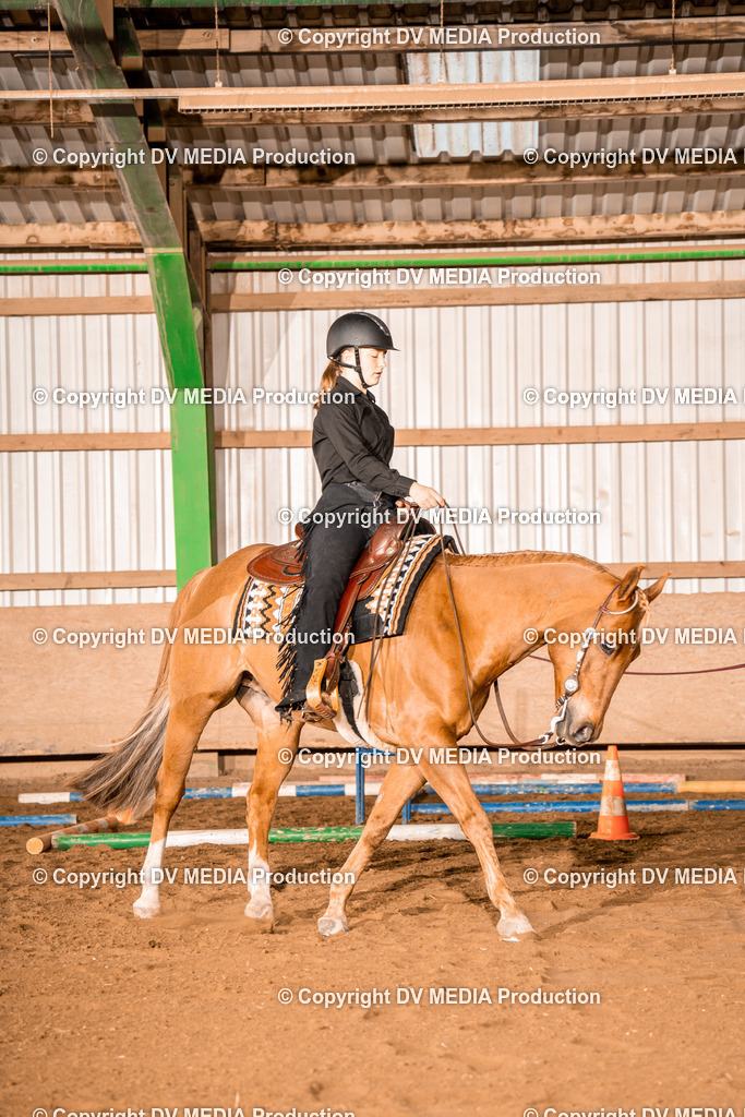 BA400053 | dv-media-shop - Realisiert mit Pictrs.com