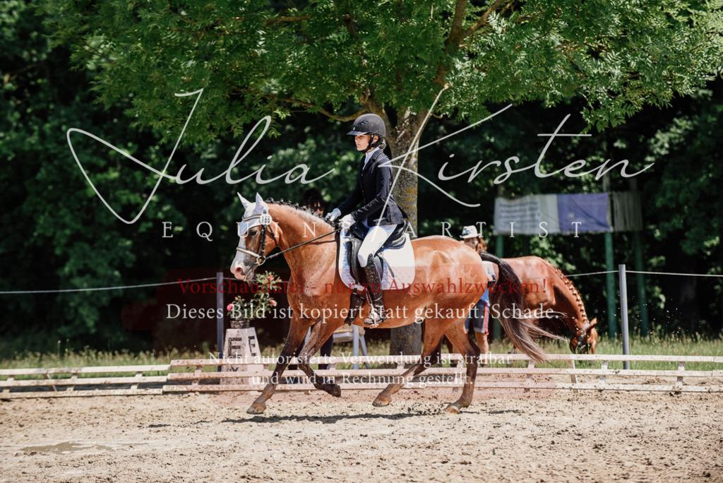 DSC_1952 | Pferde- und Turnierfotografie in Westsachsen. Pferdeportraits, Auftragszeichnungen und intuitive Kunst.