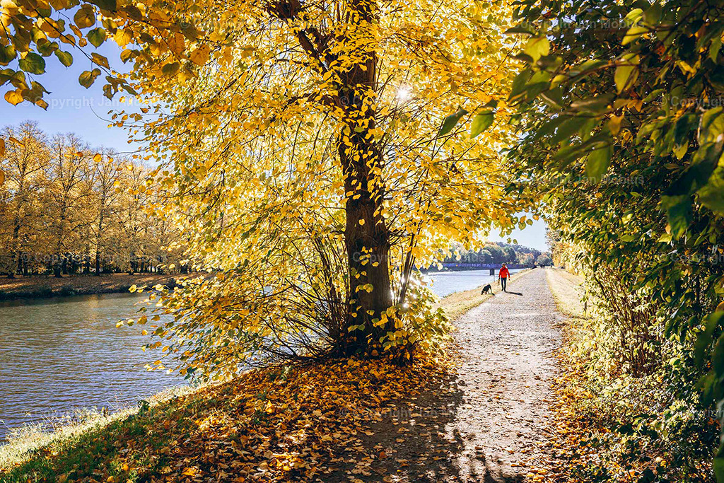Clara Park | Der Clara-Zetkin-Park in Leipzig ist ein beliebter Ort für Natur, Sport und Erholung – perfekt für Spaziergänge, Jogging und entspannte Stunden im Grünen. - Realisiert mit Pictrs.com