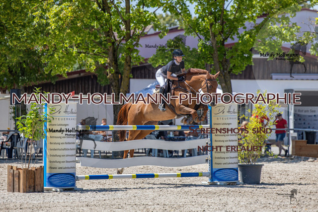 26-7-24 SPF m++-526 | mandyhollmannphotographie