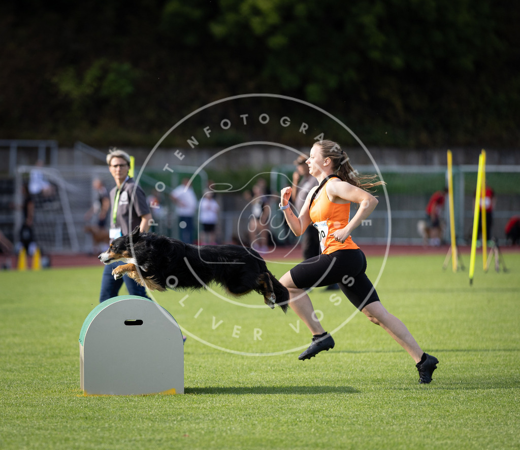 Pfotenfotografie_DV3A2718 | Hundefotografie, Tierfotograf, Pfotenfotografie, Fotoshooting Hund, Hunde Portrait, Hundesport, Hundeportraits, Heideshooting, Hunde, Sportfotograf, Hundefotograf, Turnierhundsport, THS,  - Realisiert mit Pictrs.com