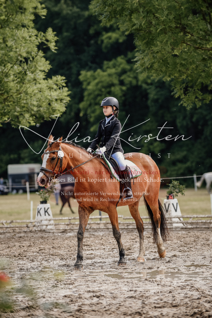 DSC_9101 | Pferde- und Turnierfotografie in Westsachsen. Pferdeportraits, Auftragszeichnungen und intuitive Kunst.
