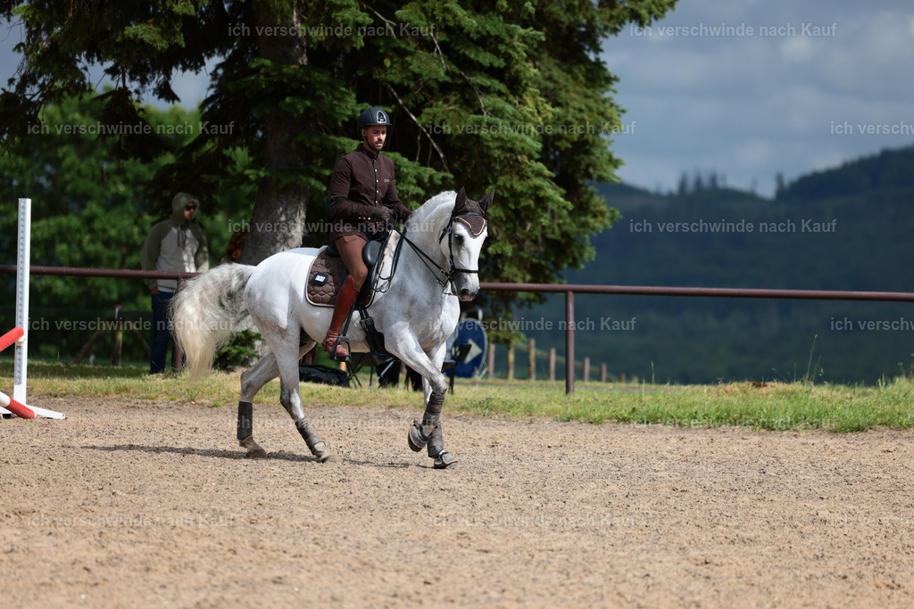 KlasseL_Stoibphotography_CAM23412.JPG | working equitationturnier fotograf videograf stoibphotography marixx film working equitation deutschland reitsport turnierfotografie eventfotografie equestrian events