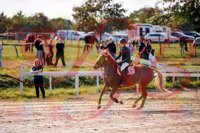 2026_10_03_Siefer-Hof_144702_Z81_23504427 | Professionelle Reitsport-, Turnier- und Eventfotografie von Robert Broda. Galerien mit ausgewählten und bearbeiteten Bildern direkt online ansehen und bestellen.