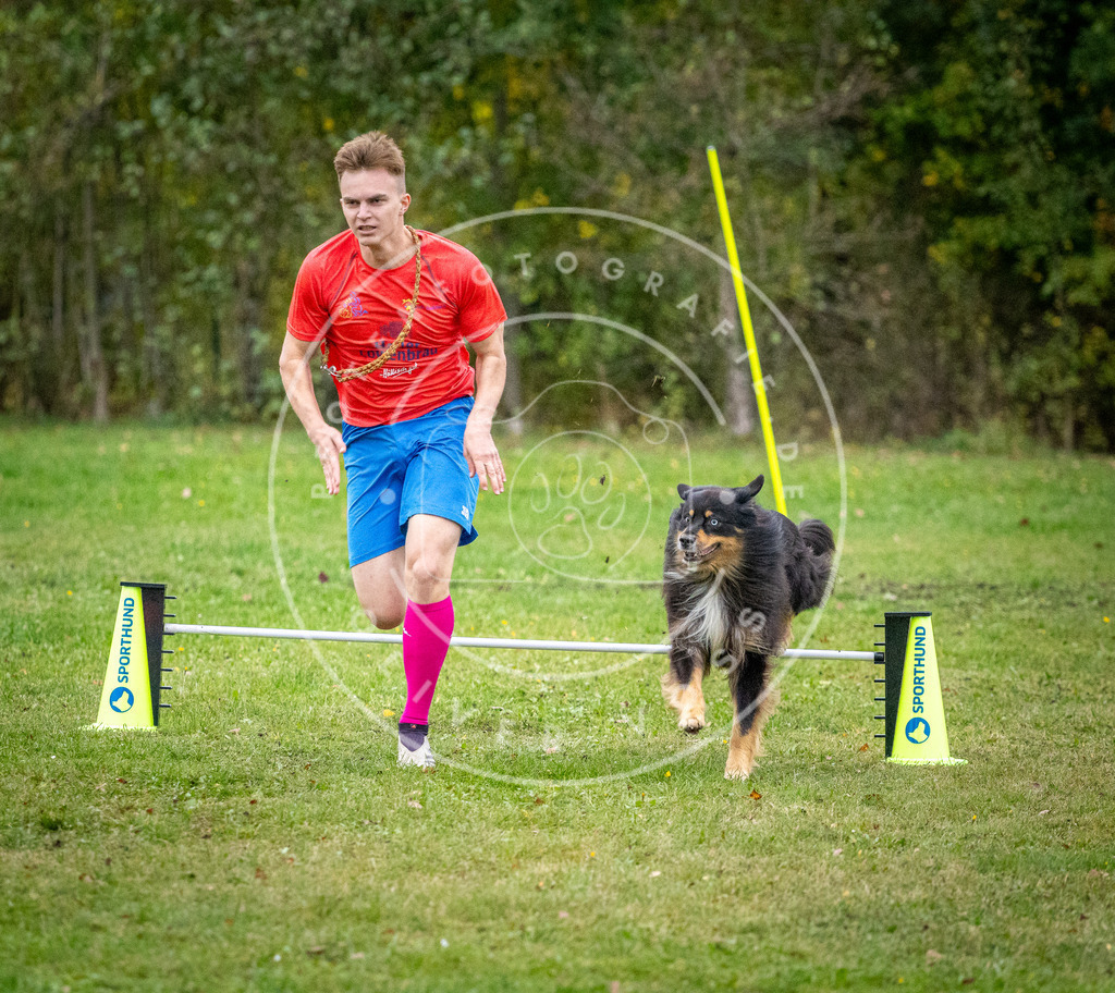 Pfotenfotografie_DV3A1426 | Hundefotografie, Tierfotograf, Pfotenfotografie, Fotoshooting Hund, Hunde Portrait, Hundesport, Hundeportraits, Heideshooting, Hunde, Sportfotograf, Hundefotograf, Turnierhundsport, THS,  - Realisiert mit Pictrs.com