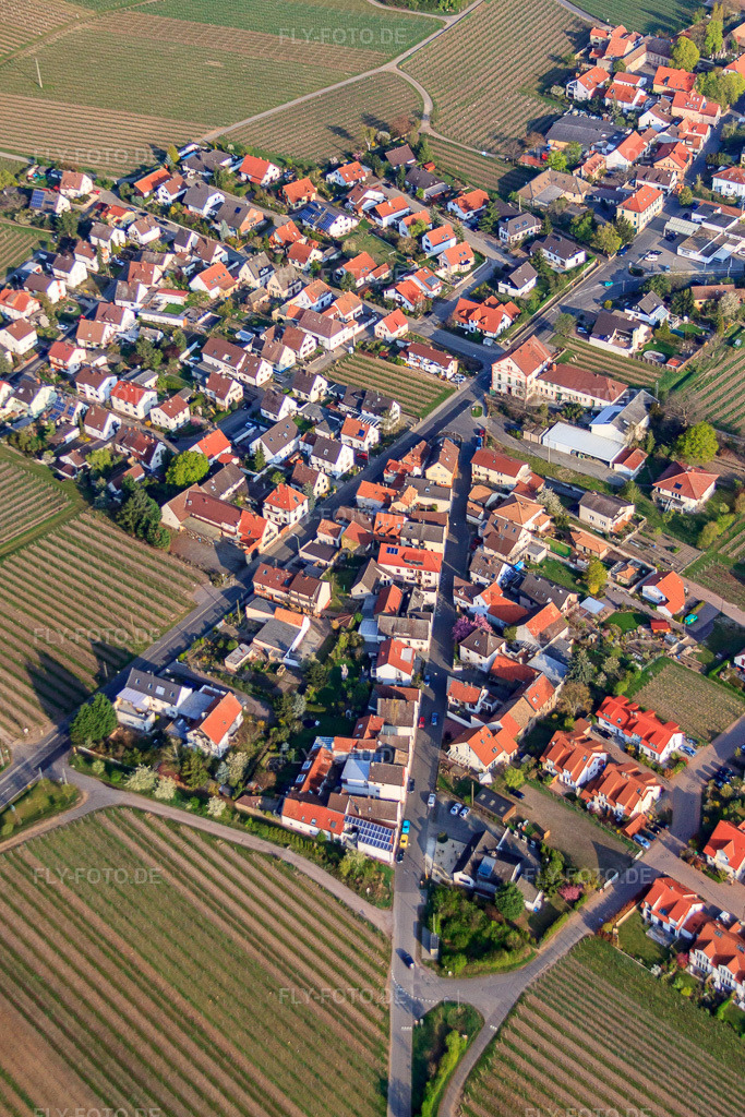 Luftbild: Niederkircher Straße in Forst an der Weinstraße im Bundesland Rheinland-Pfalz in Deutschland. Foto: IMG_49634.jpg vom 13.04.2012 durch Werner Riehm/FLY-FOTO.de