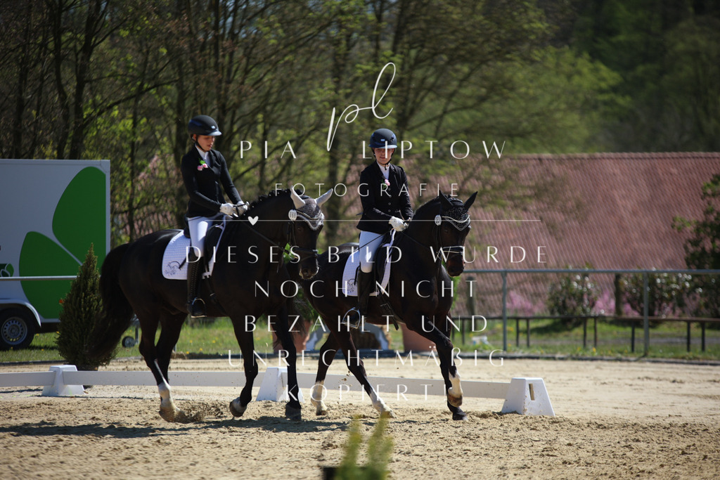 IMGT1849 | pl-fotografie