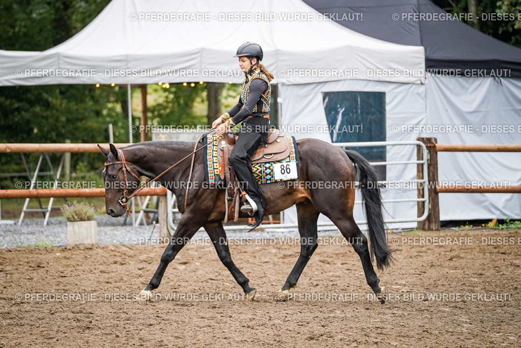 DSC02162 | Pferdegrafie