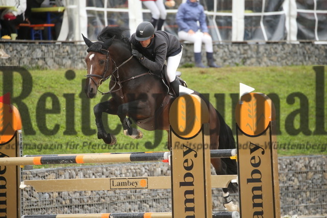 Villingendorf_2022_Prfg.Nr.08_zwei Phasen_Springprfg.Kl.M_Youngster_Jochen Teufel_Hardy T (6) | Alle Fotos der Reiterjournal Fotografin Doris Matthaes im Reiterjournal Online-Fotoshop. - Realisiert mit Pictrs.com