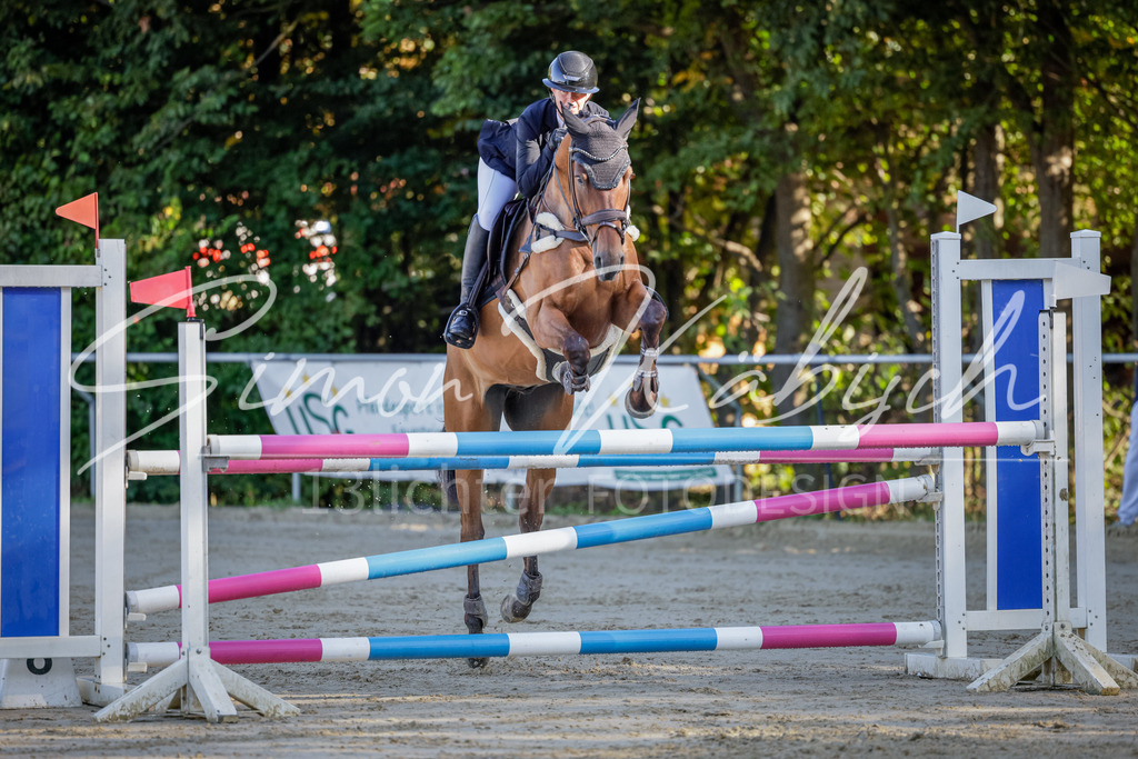 20250906-_3LI3075 | Tierfotografie Pferde, Hunde, Katzen, Haustiere.
Turnierfotografie Reitturniere, Reiten, Springreiten, Dressur in Hanau, dem Main-Kinzig-Kreis und dem Rhein-Main- Gebiet um Frankfurt
