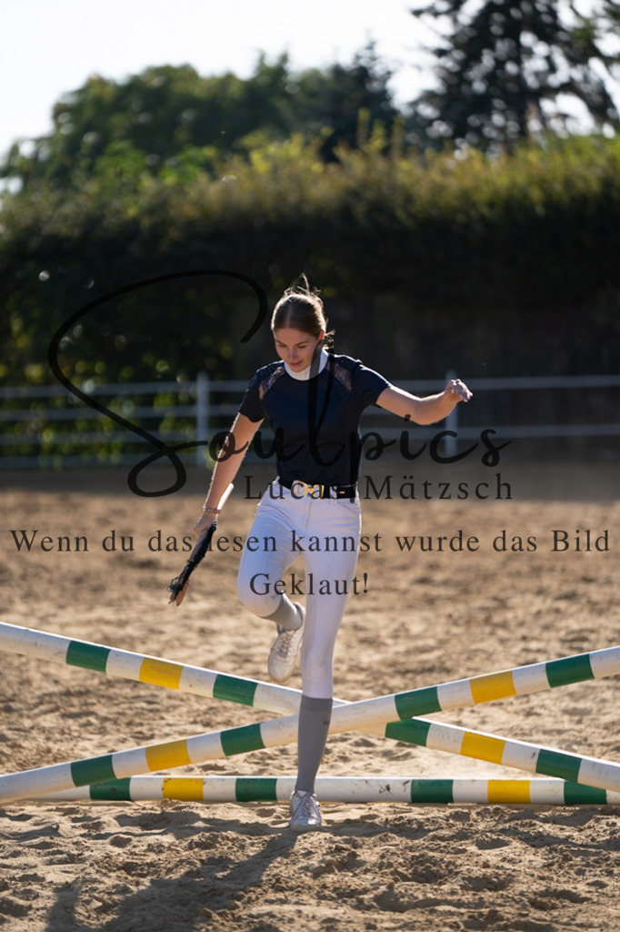 A7V02688 | Pferdefotograf