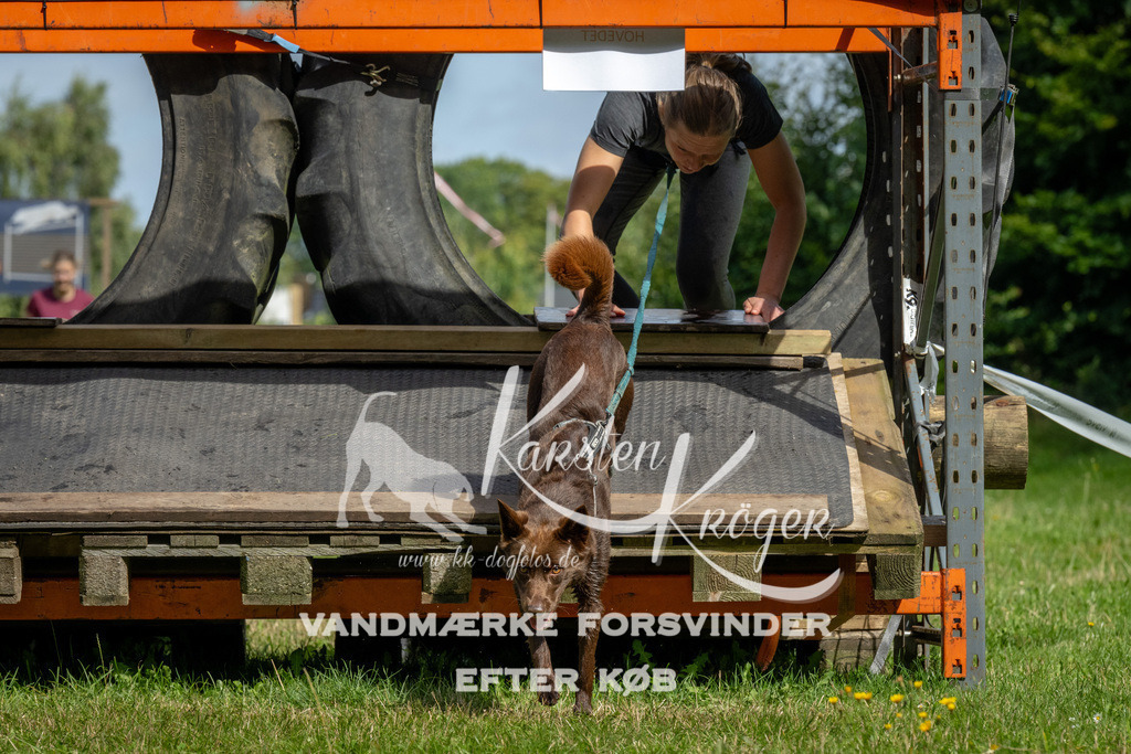 1131_ZZ92332 | kk-dogfotos