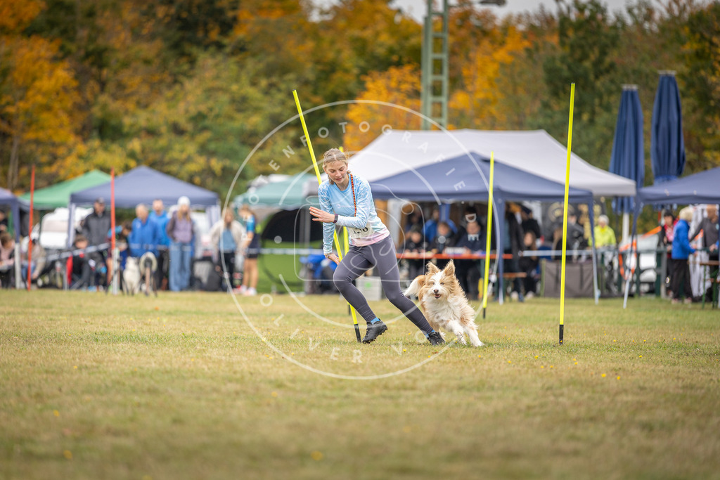 Pfotenfotografie_DV3A5122 | Hundefotografie, Tierfotograf, Pfotenfotografie, Fotoshooting Hund, Hunde Portrait, Hundesport, Hundeportraits, Heideshooting, Hunde, Sportfotograf, Hundefotograf, Turnierhundsport, THS,  - Realisiert mit Pictrs.com
