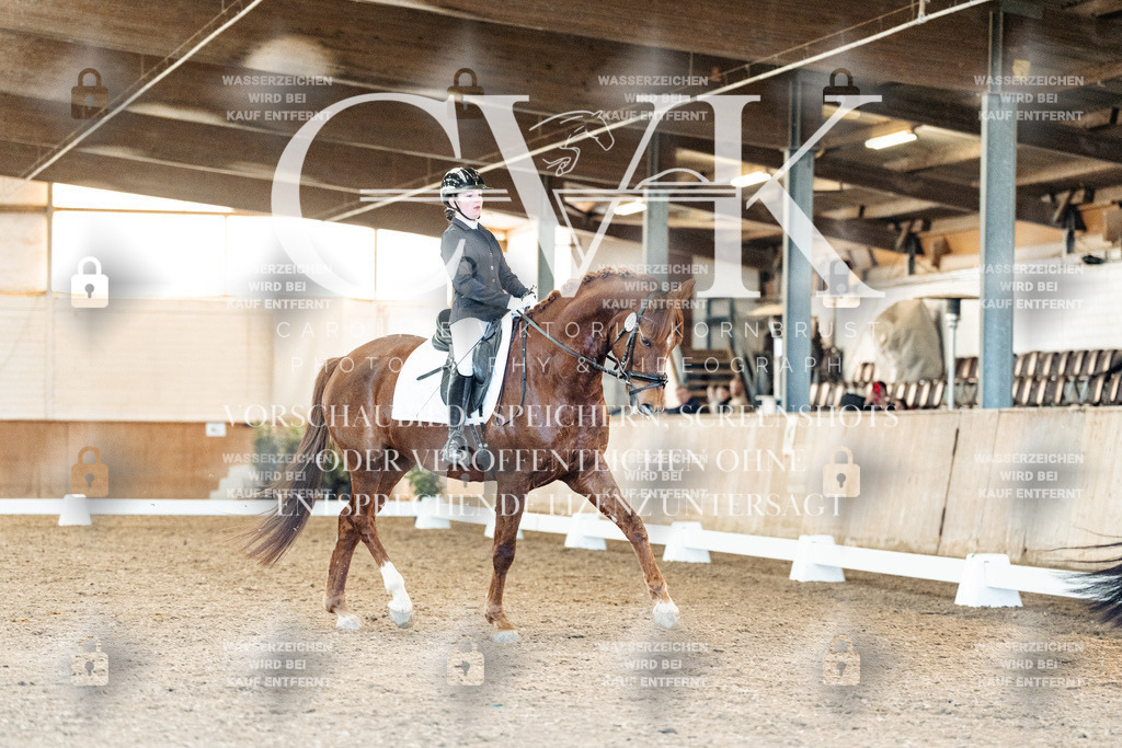 CK908345 | Turnierfotografie Pferdefotografie Trier Rheinland-Pfalz Pferdesport Reitsport Tierfotografie Sportfotografie Pferdevideo Pferdevideografie Equestrianvideography equestrianphotography  - Realisiert mit Pictrs.com