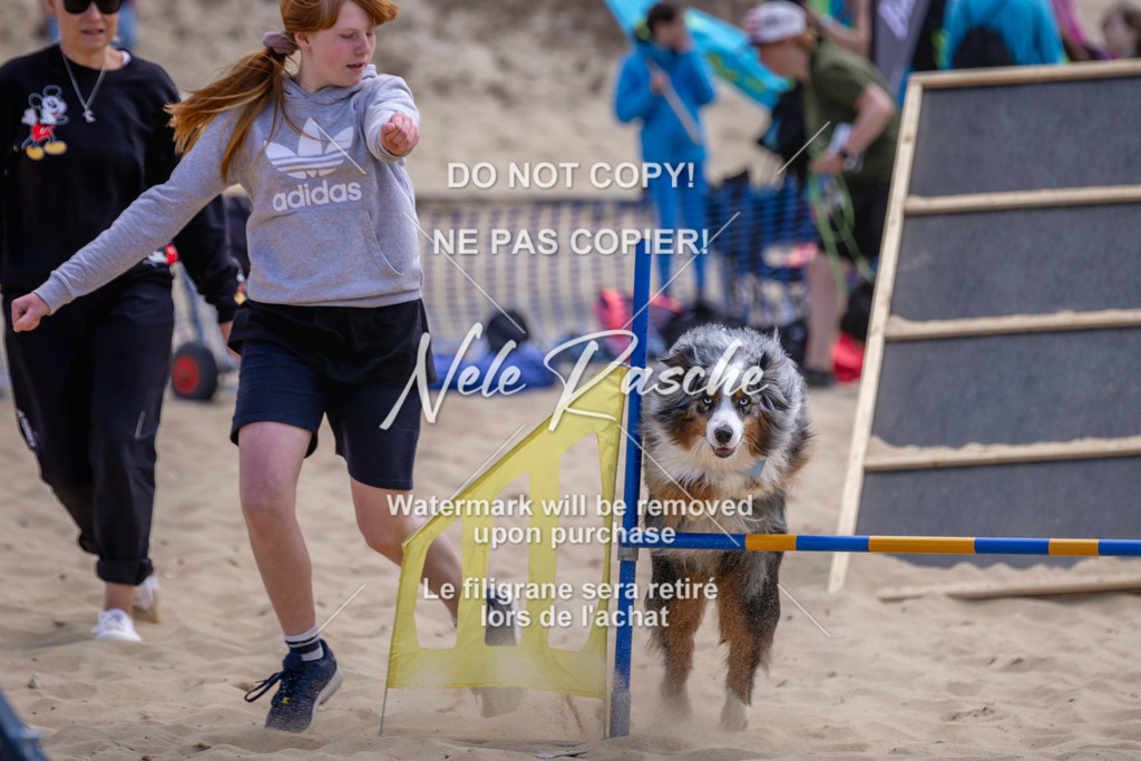 NR__2389 | nelerasche