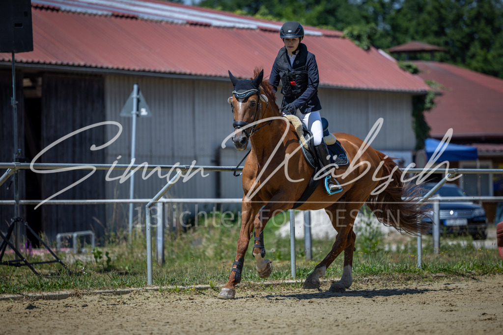20260704-_3LI8449 | Tierfotografie Pferde, Hunde, Katzen, Haustiere.
Turnierfotografie Reitturniere, Reiten, Springreiten, Dressur in Hanau, dem Main-Kinzig-Kreis und dem Rhein-Main- Gebiet um Frankfurt