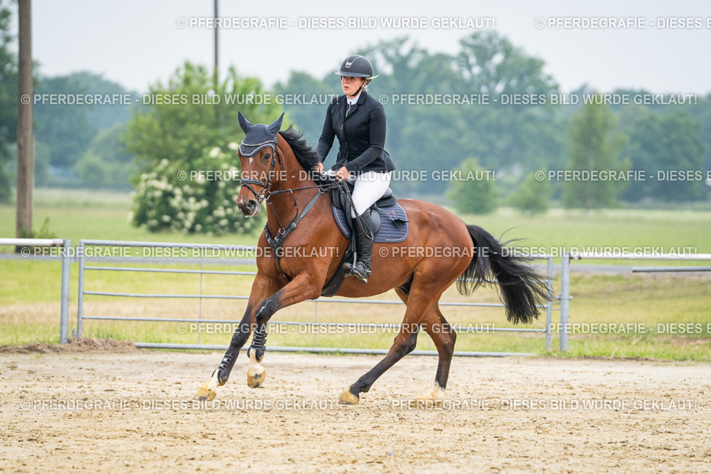 DSC00468 | Pferdegrafie