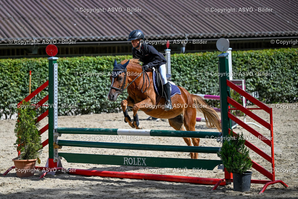 ASVÖ_ Reiten Bezirksmeisterschaft_ 24.08.2025-119 | 24.08.2025, AUT, ASVÖ, Reiten Bezirksmeisterschaft 2025Dressur und Springreiten©fodo.media / Harald Dostal - Realisiert mit Pictrs.com