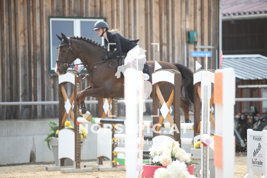 PP018223 | Willkommen bei Brunnmayr - Design & Fotografie – Ihrem Spezialisten für Reitturniere und Pferdeveranstaltungen in Oberösterreich, Salzburg und Bayern! Seit über 17 Jahren sind wir leidenschaftlich dabei.
