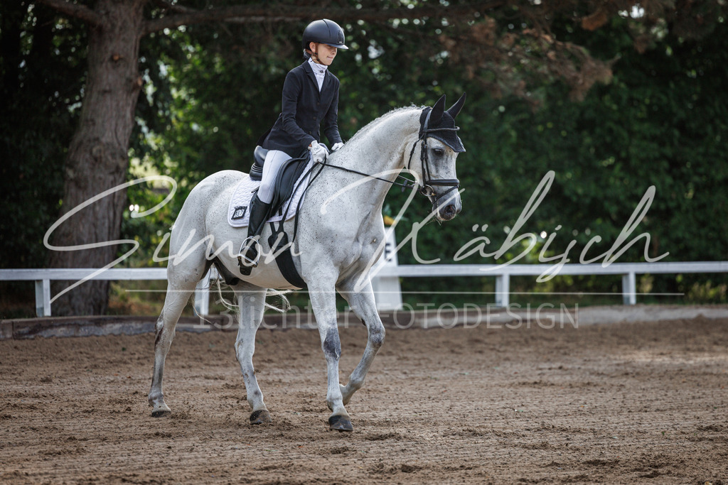20260905-_3LI6890 | Tierfotografie Pferde, Hunde, Katzen, Haustiere.
Turnierfotografie Reitturniere, Reiten, Springreiten, Dressur in Hanau, dem Main-Kinzig-Kreis und dem Rhein-Main- Gebiet um Frankfurt