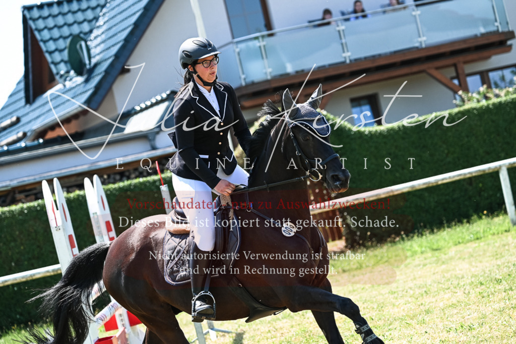 DSC_0207 | Pferde- und Turnierfotografie in Westsachsen. Pferdeportraits, Auftragszeichnungen und intuitive Kunst.