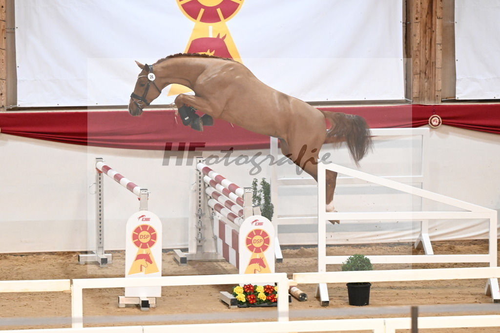 Kat.-Nr. 26 v. Kincsem_Schlamminger_3261742 | hf-fotografie - Realisiert mit Pictrs.com
