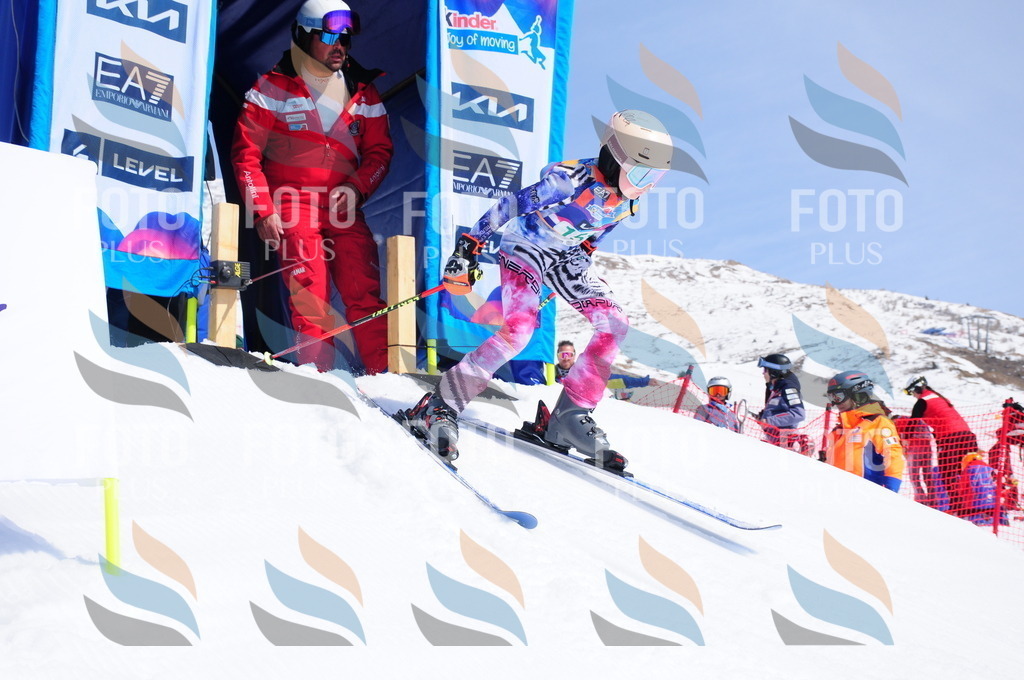 DSC_1307 | holidayphoto