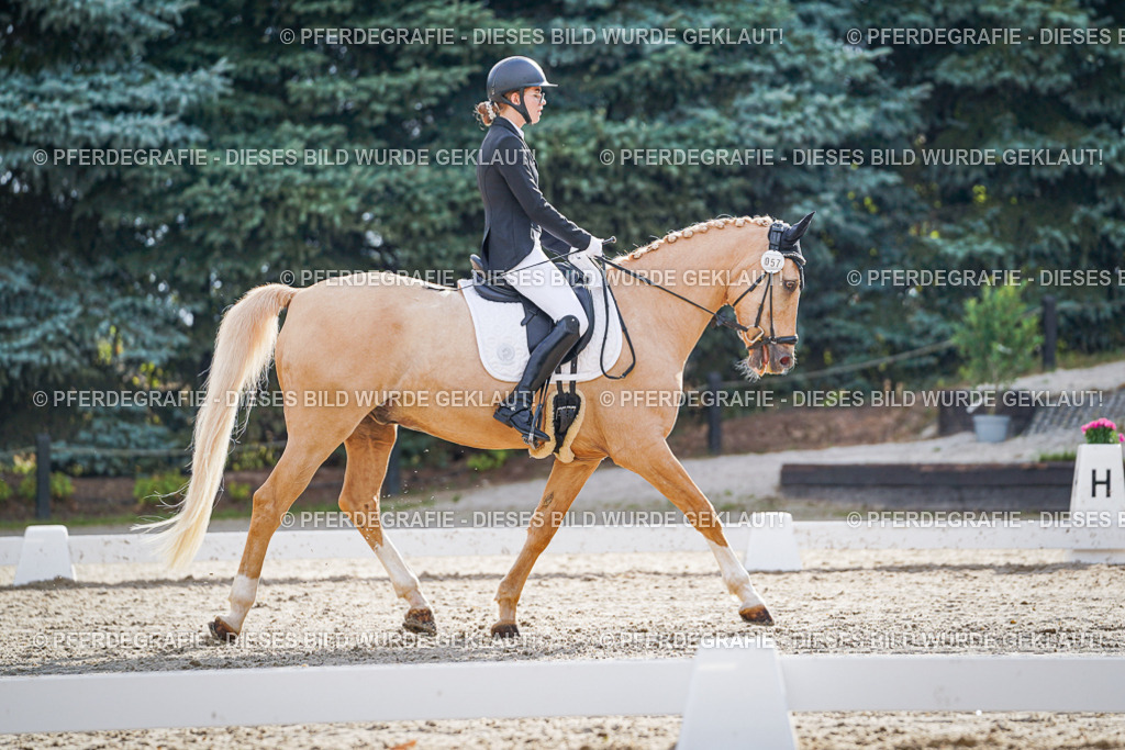 DSC00841 | Pferdegrafie