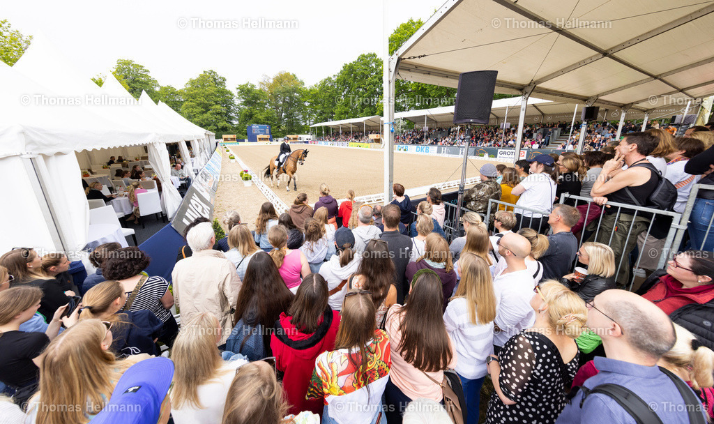 TH_Übersicht Dressur_8435 | Deutsches Spring- und Dressur-Derby 2023 am 21.05.23 in Hamburg, Derby Platz Klein Flottbek, Thomas Hellmann, _H_R8805