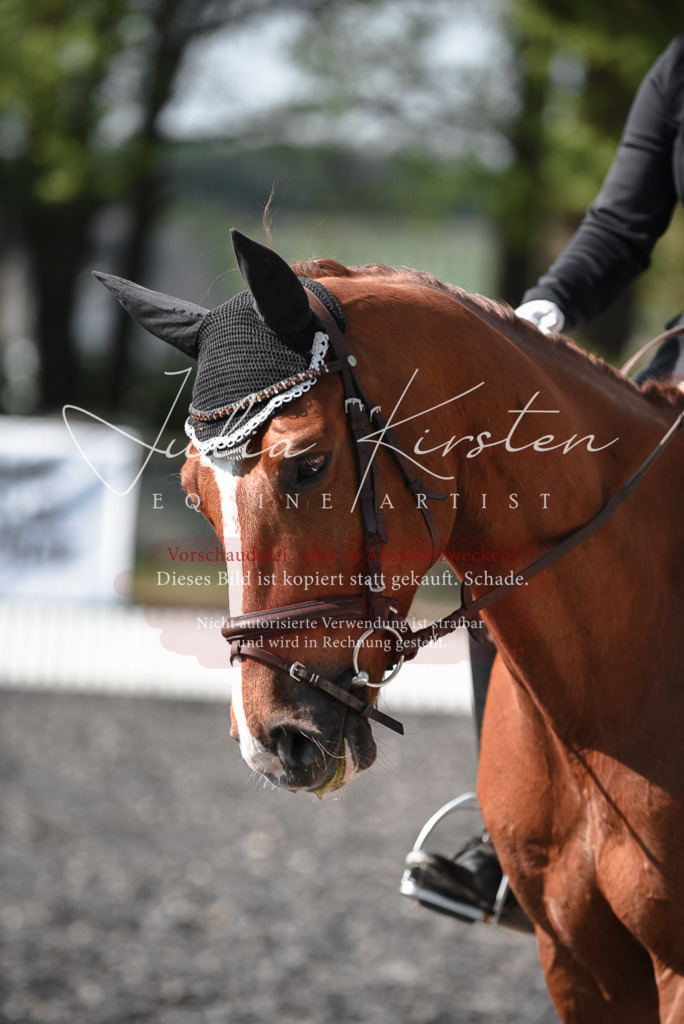 20230513_JK-Röhrsdorf-14-232 | Pferde- und Turnierfotografie in Westsachsen. Pferdeportraits, Auftragszeichnungen und intuitive Kunst.