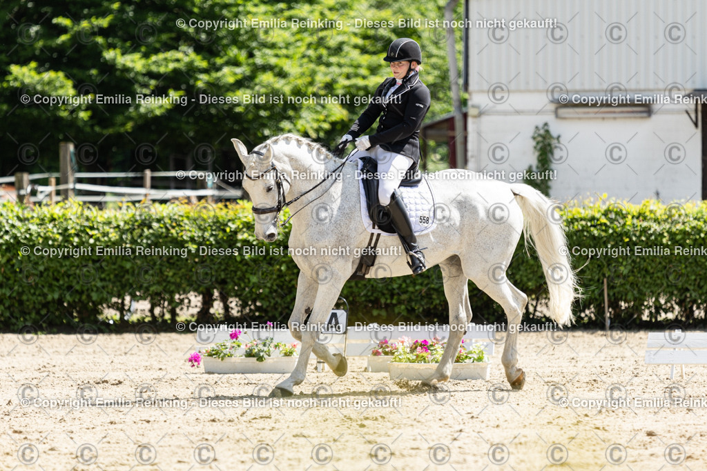 CL5A8142 | Emilia Reinking Fotografie - Realisiert mit Pictrs.com