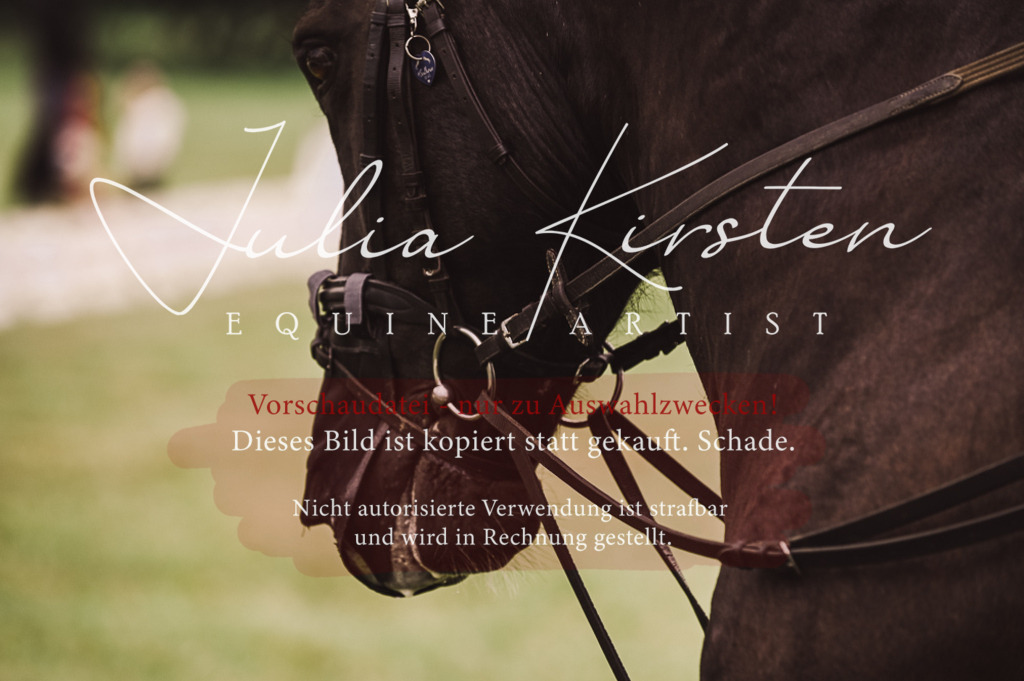 DSC_5130 | Pferde- und Turnierfotografie in Westsachsen. Pferdeportraits, Auftragszeichnungen und intuitive Kunst.