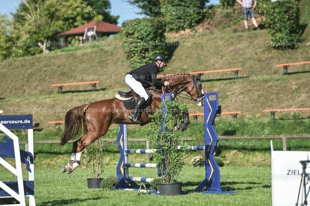 20230908_14-15_Springpferde-A_0094 | equistock