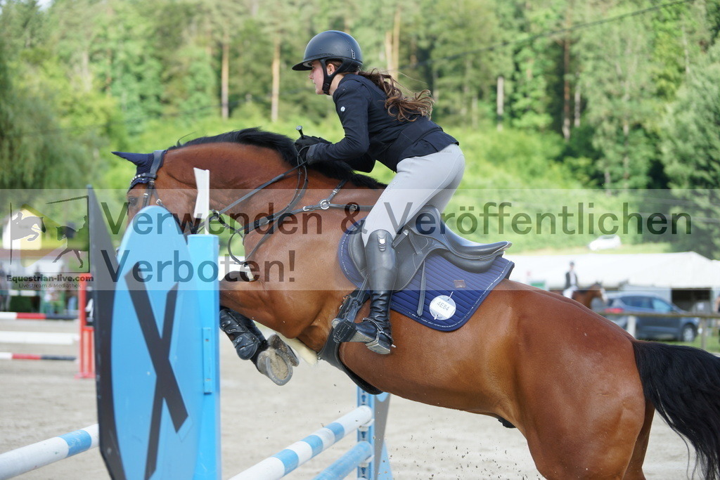 DSC08508 | equestrian-live-com