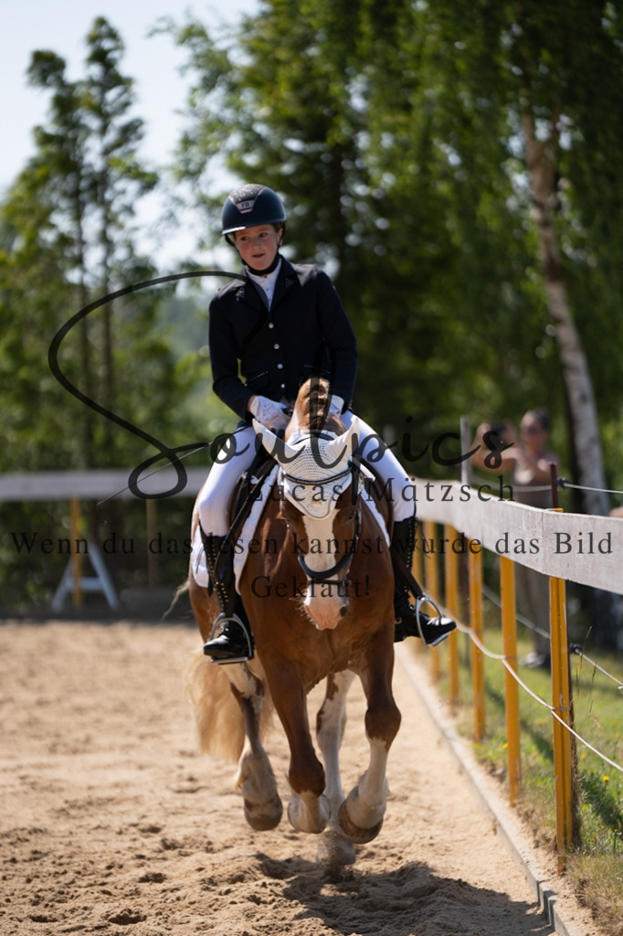 A7V07916 | Turnier/Reitfotograf