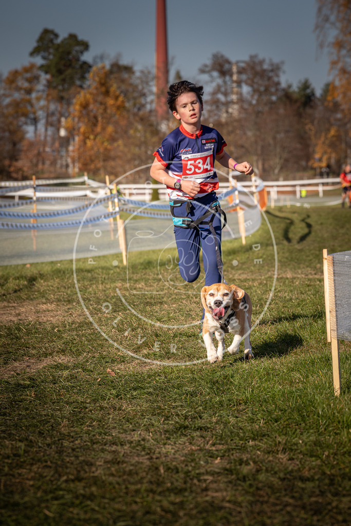 CaniXpix_0L8A7510 | Hundefotografie, Tierfotograf, Pfotenfotografie, Fotoshooting Hund, Hunde Portrait, Hundesport, Hundeportraits, Heideshooting, Hunde, Sportfotograf, Hundefotograf, Turnierhundsport, THS,  - Realisiert mit Pictrs.com