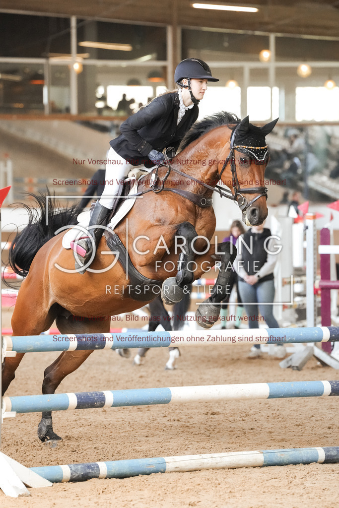 DSC00206 | Reitturnier_Göppingen_April_2026, Annabel_Blassa, Hope_BS