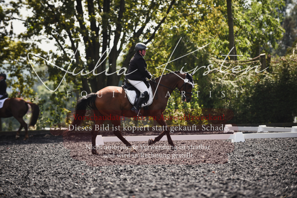 DSC_4163 | Pferde- und Turnierfotografie in Westsachsen. Pferdeportraits, Auftragszeichnungen und intuitive Kunst.