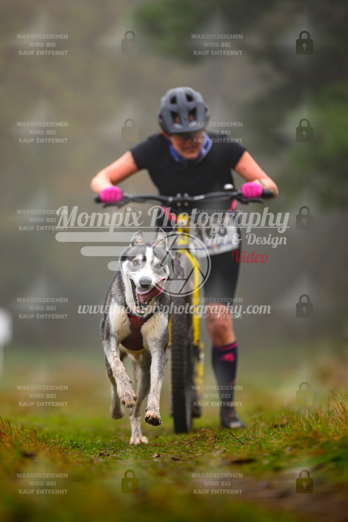 MompixPhotography_Bischwiller2025_Scooter-37 | mompixphotography