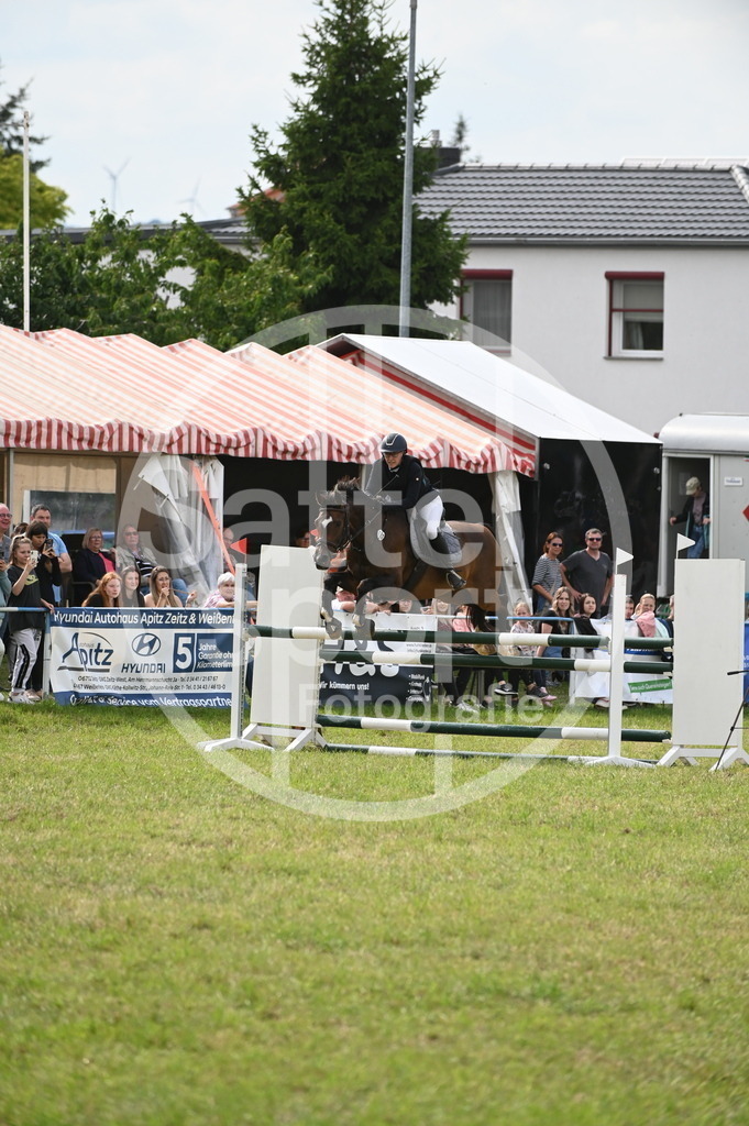 DSC_2979 | sattelsport - Realisiert mit Pictrs.com