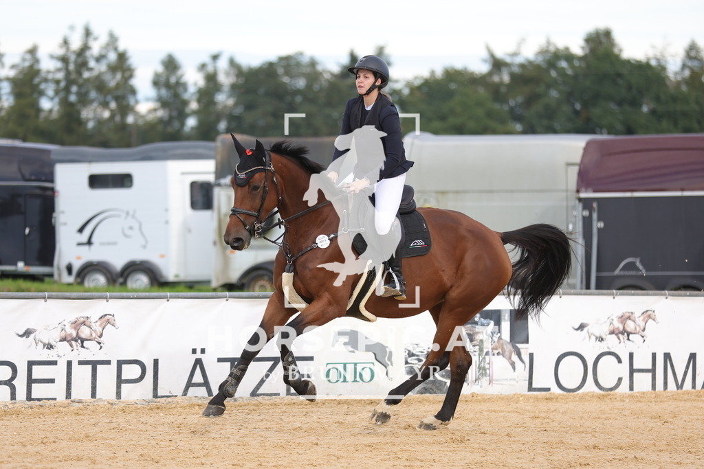 0P6A5144 | Willkommen bei Brunnmayr - Design & Fotografie – Ihrem Spezialisten für Reitturniere und Pferdeveranstaltungen in Oberösterreich, Salzburg und Bayern! Seit über 17 Jahren sind wir leidenschaftlich dabei.