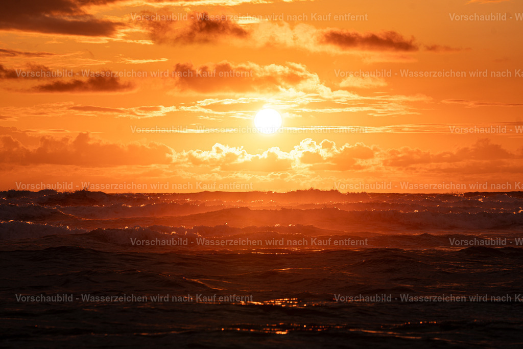 DSC02029 | marcuslinek