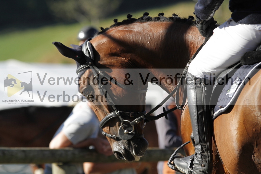 _MG_4633 | equestrian-live-com