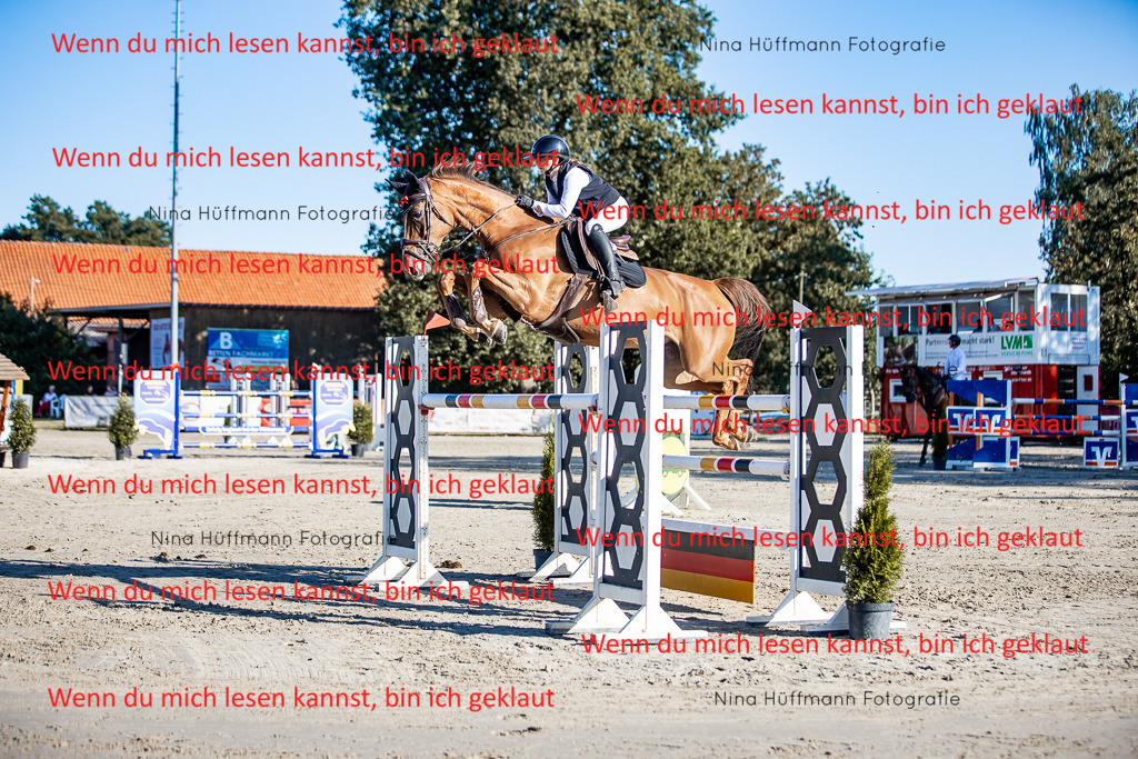 BK1A8219 | Turnierbilder Turnierfotos Nina Hüffmann Turnierfotografie Pferdefotografie Tierzeichnung Haustierzeichnung Pferdezeichnung Hundezeichnung Videograf  - Realisiert mit Pictrs.com
