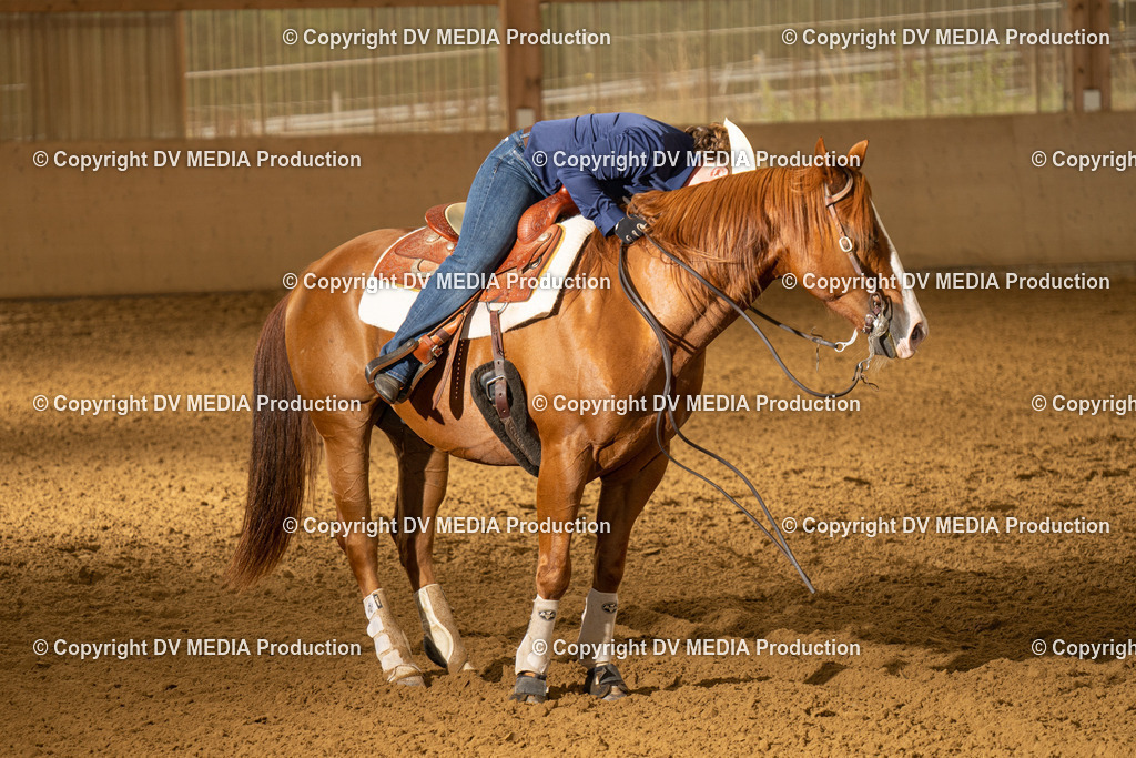 LAU00897 | dv-media-shop - Realisiert mit Pictrs.com