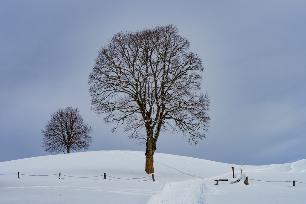 2021_12_12 BRM05068 | bridgeman - Realisiert mit Pictrs.com